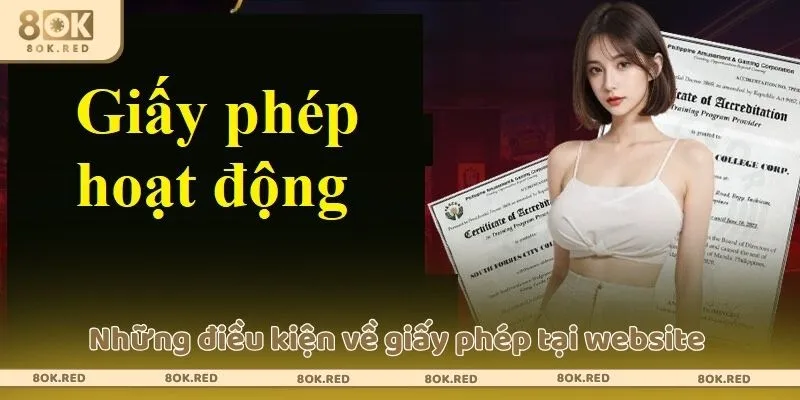 Những điều kiện về giấy phép tại website