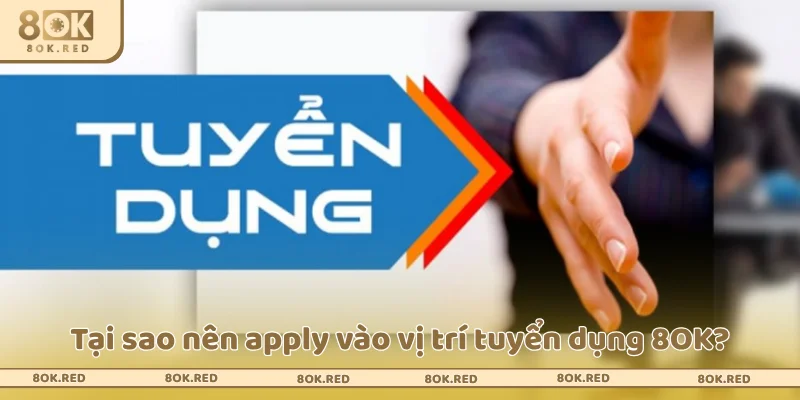Những lý do nên ứng tuyển ngay tại 8OK