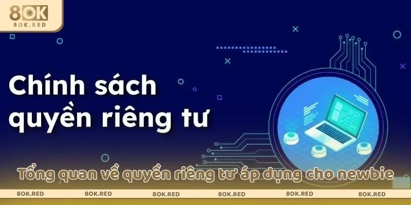 Tổng quan về quyền riêng tư áp dụng cho newbie